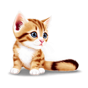 Curious Kitten PNG 05232024 PNG image with transparent background