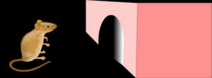 Curious Mouse Near Hole PNG image with transparent background