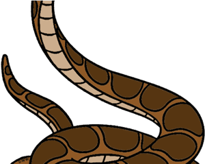 Curled_ Brown_ Snake_ Illustration PNG image with transparent background