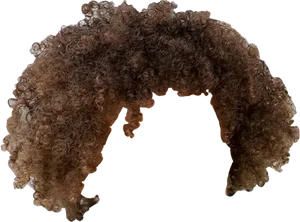 Curly Brown Hair Texture PNG Image