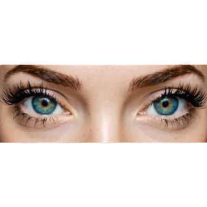 Curly Eyelash Extensions Png Dkh43 PNG Image