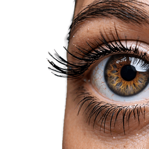 Curly Eyelashes PNG 05042024 PNG