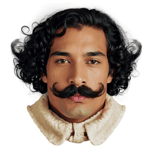 Curly Handlebar Mustache PNG eyd37 PNG
