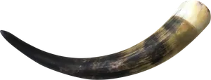 Curved Animal Horn PNG Image