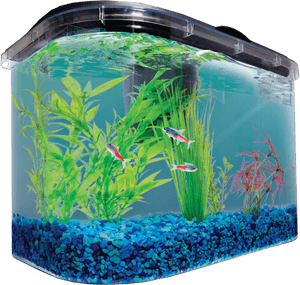 Aquarium Fish Tank Png Image - Aquarium, Transparent Png PNG image with transparent background