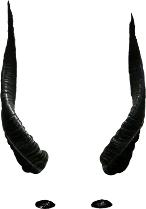 Curved Black Horns PNG Image