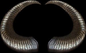 Curved Ram Horns Black Background PNG image with transparent background