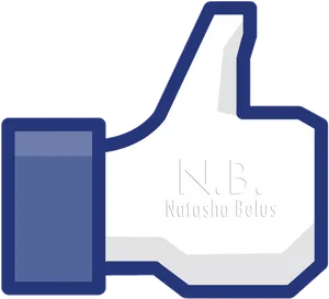 Custom Facebook Like Icon PNG Image