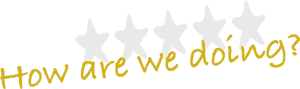 We Doing Png, Transparent Png PNG image with transparent background