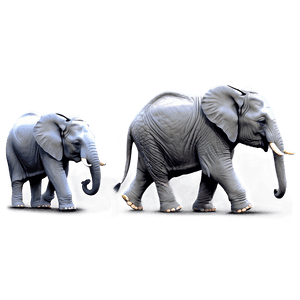 Cute Baby Elephant PNG fjl PNG image with transparent background