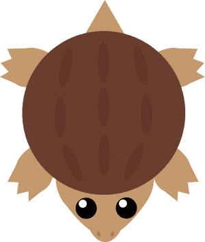 Cute Cartoon Hedgehog PNG image with transparent background