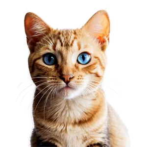 Cute Cat Clipart Png 62 PNG Image