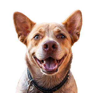 Cute Dog Snout Png 06272024 PNG Image