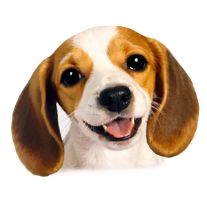 Cute Dog Transparent Png Cbu PNG Image