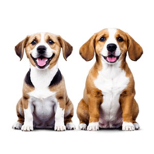 Cute Dogs PNG 83 PNG image with transparent background