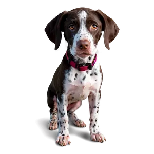 Cute German Shorthaired Pointer Dog Png 39 PNG Image