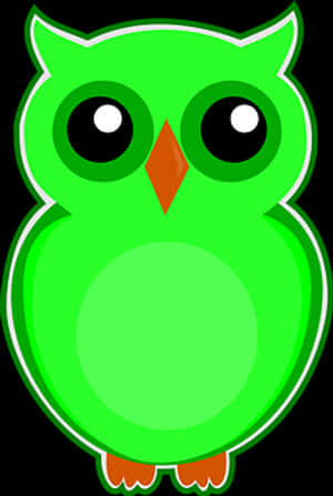 Cute Green Cartoon Owl PNG image with transparent background