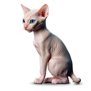 Cute Hairless Cat Png Jil PNG Image