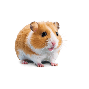 Cute Hamster Cartoon PNG yga PNG image with transparent background