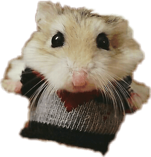 Thumb Image - Stuart Little Real Life, HD Png Download PNG image with transparent background