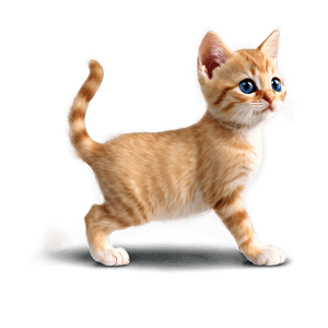 Cute Kitten PNG clw81 PNG image with transparent background