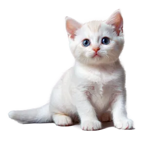 Cute Kitten Transparent 38 PNG Image