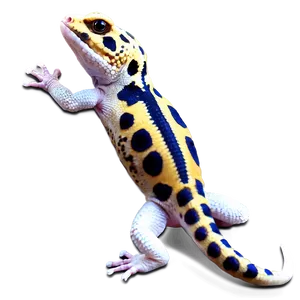 Cute Leopard Gecko Png Omr25 PNG Image