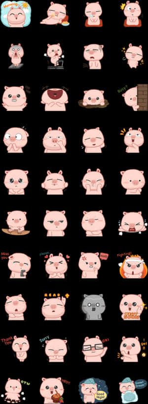 Cute Piglet Emoticons Collection PNG image with transparent background