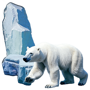 Cute Polar Bear Cartoon PNG 21 PNG image with transparent background