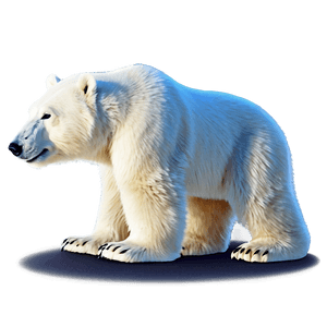 Cute Polar Bear Cartoon PNG 82 PNG image with transparent background