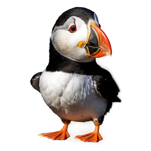 Cute Puffin Character Png Mxq88 PNG Image