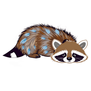 Cute Raccoon Illustration PNG xuj45 PNG image with transparent background