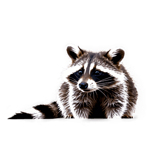 Cute Raccoon PNG lau PNG image with transparent background