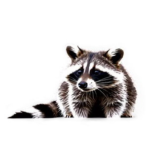 Cute Raccoon Png Lau PNG Image