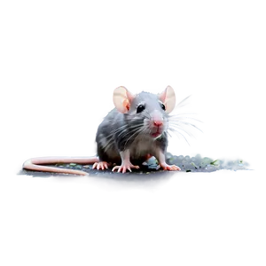 Cute Rat In Rain Png 06252024 PNG Image