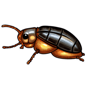 Cute Roach Cartoon PNG 05242024 PNG