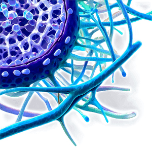 Cytoskeleton in Cells PNG jij59 PNG
