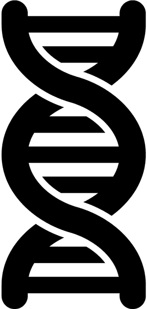 D N A Double Helix Icon PNG with transparent background