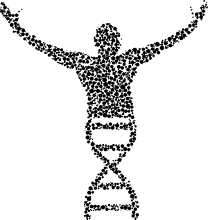 D N A_ Human_ Silhouette PNG with transparent background
