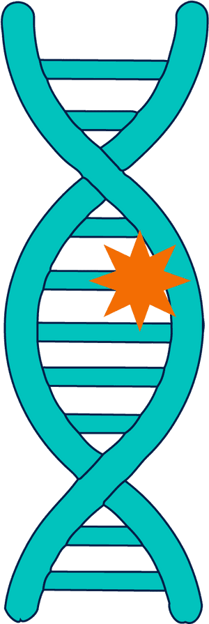D N A_ Mutation_ Illustration PNG with transparent background