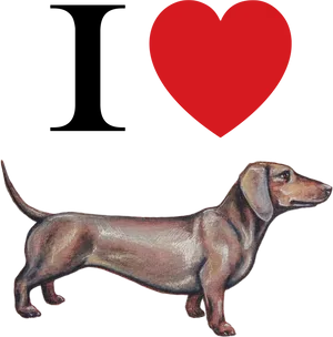 Dachshund Love Illustration PNG Image