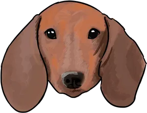 Dachshund Portrait Illustration PNG Image