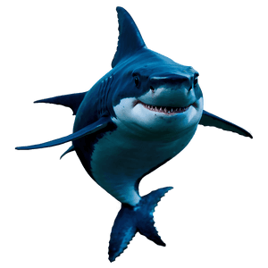 Daddy Shark Blue PNG dai18 PNG