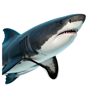 Daddy Shark Character PNG 34 PNG