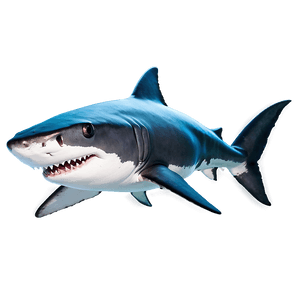 Daddy Shark Cute PNG 31 PNG
