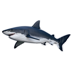 Daddy Shark Silhouette PNG hso PNG