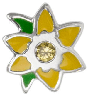 Stow Lockets March Daffodil - Edelweiss, HD Png Download PNG image with transparent background