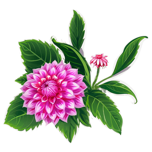 Dahlia Flower Illustration PNG gjl PNG image with transparent background