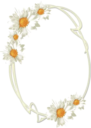 Daisy Chain Frame Design PNG Image