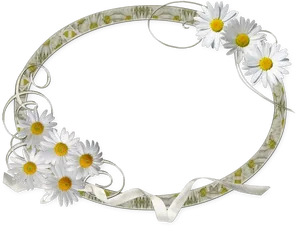 Daisy Decorated Photo Frame PNG Image